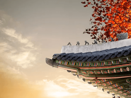 旅游景点