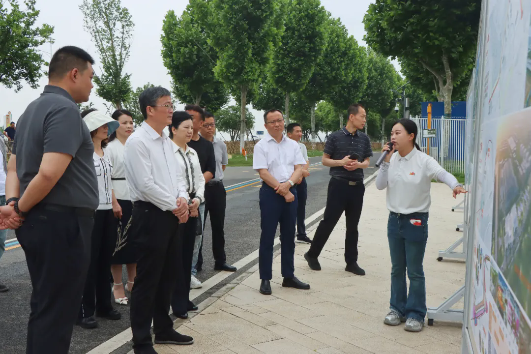 区政协开展环区堤岸文旅资源开发利用专题视察调研